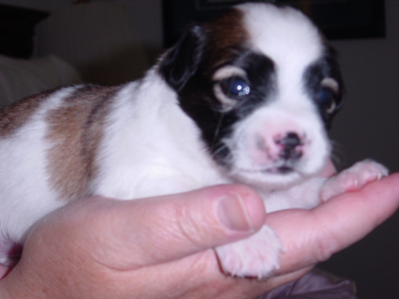 socute06205.jpg